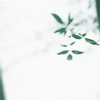 王者国度传奇手游任达华版下载